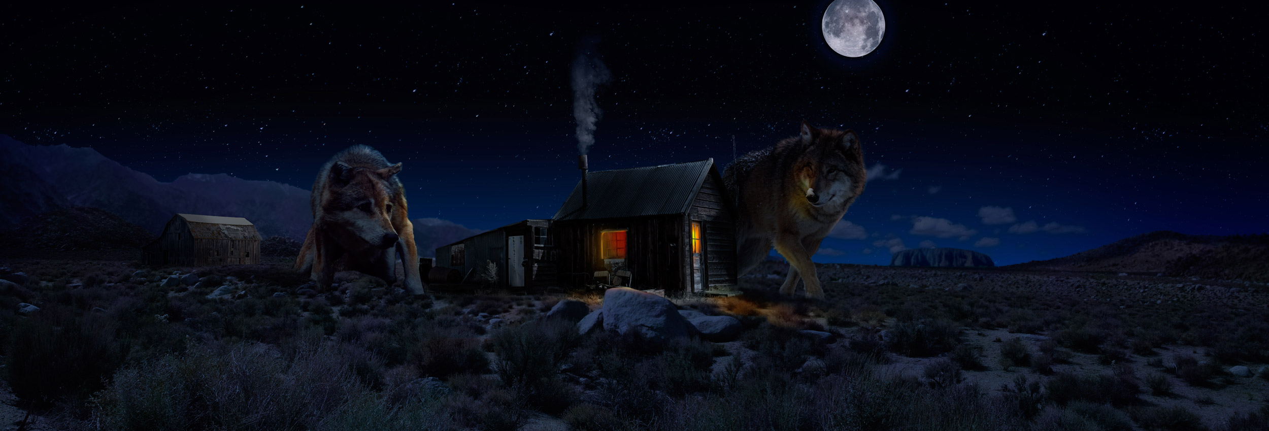 Matte painting - desert with wolves